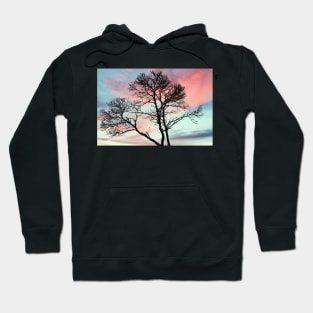 Beautiful tree with a craw at sunset Hoodie